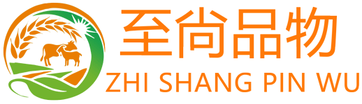 北京某某财政服务有限公司